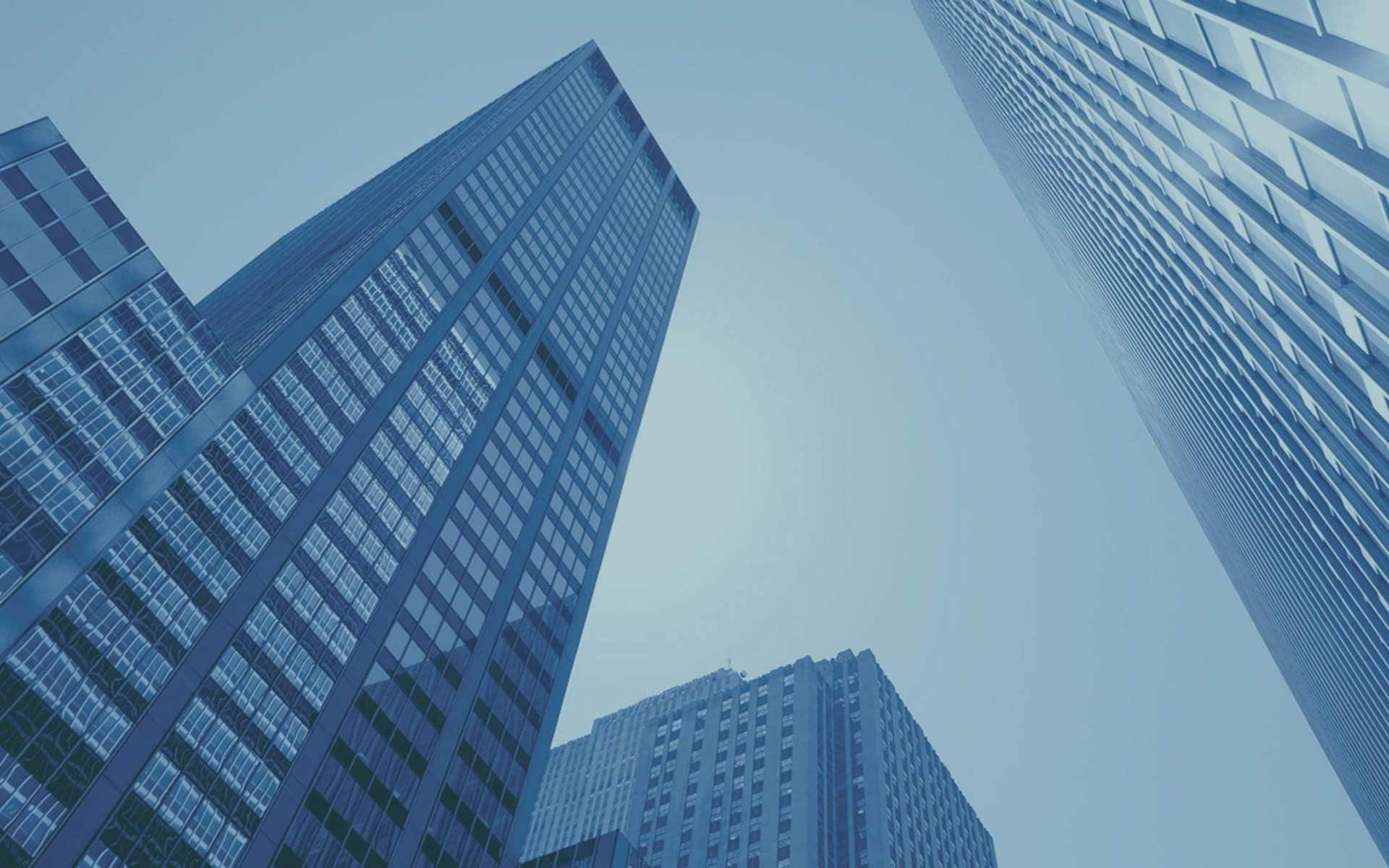 Automatizado en minutos